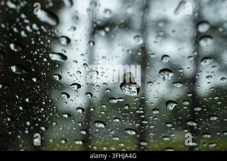 Reihen von Kiefernstämmen stehen schwach hinter einem regentropfengefüllten Autofenster, wobei ein großer klarer Tropfen einen scharf reflektierenden umgedrehten Kiefernbaum zeigt Stockfoto