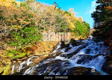 Panoramablick auf einen stürzenden Wasserfall, der über felsige Stufen stürzt, umgeben von lebhaftem Herbstlaub und grünen Nadelbäumen in einem Bergwald und Stockfoto