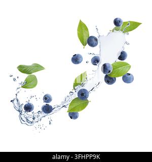 Frische Blaubeeren, grüne Blätter und Wasserspritzer in der Luft vor weißem Hintergrund Stockfoto