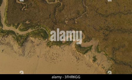 Luftaufnahme von Küste und Marschland mit texturierten Naturmustern und erdigen Tönen, Sharfleet Creek, Kent, UK Stockfoto