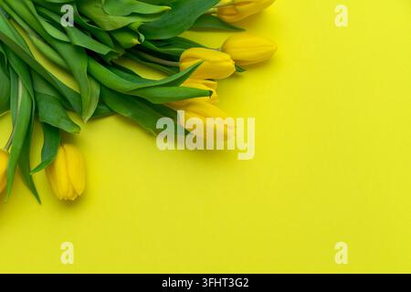 Gelbe Tulpen mit grünen Blättern auf gelbem Hintergrund. Stockfoto