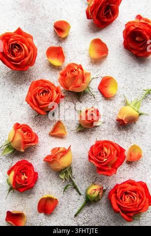 Blumenkomposition. Rahmen aus roten Rosen und Blättern Stockfoto