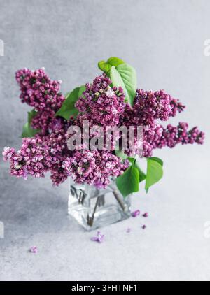 Fliederblüten auf einer Vase Stockfoto