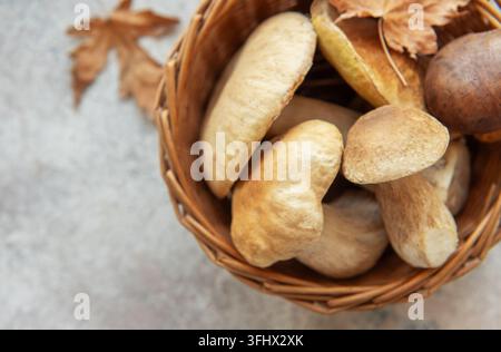 Frische Pilze in einem Weidenkorb mit Herbstblättern, die die Herbsternte symbolisieren Stockfoto