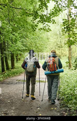 Senioren wandern mit Trekkingstöcken entlang eines Waldweges Stockfoto
