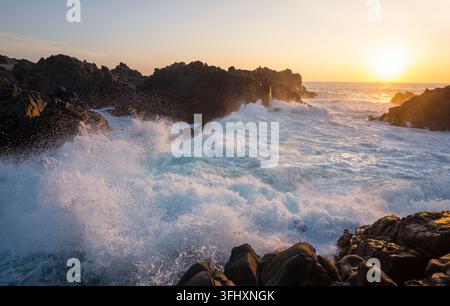 Pazifikküste in Chile Stockfoto