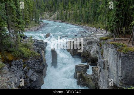 Mächtiger Wasserfall stürzt über geschichtete Felsen, umgeben von üppigem grünem Wald, Athabasca-Fälle, Jasper-Park, Alberta, Kanada Stockfoto