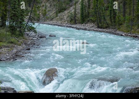 Mächtiger Wasserfall stürzt über geschichtete Felsen, umgeben von üppigem grünem Wald, Athabasca-Fälle, Jasper-Park, Alberta, Kanada Stockfoto
