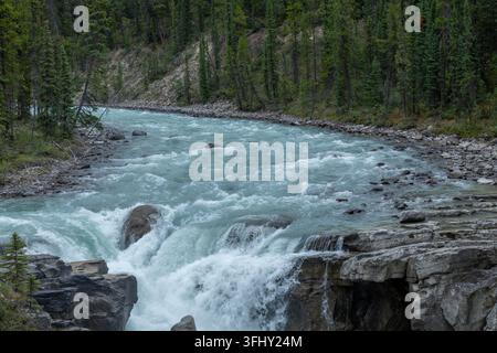 Mächtiger Wasserfall stürzt über geschichtete Felsen, umgeben von üppigem grünem Wald, Athabasca-Fälle, Jasper-Park, Alberta, Kanada Stockfoto