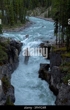 Mächtiger Wasserfall stürzt über geschichtete Felsen, umgeben von üppigem grünem Wald, Athabasca-Fälle, Jasper-Park, Alberta, Kanada Stockfoto