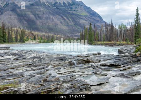 Mächtiger Wasserfall stürzt über geschichtete Felsen, umgeben von üppigem grünem Wald, Athabasca-Fälle, Jasper-Park, Alberta, Kanada Stockfoto