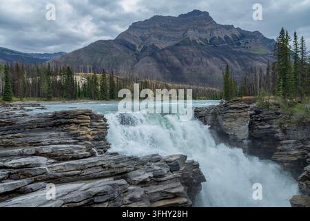 Mächtiger Wasserfall stürzt über geschichtete Felsen, umgeben von üppigem grünem Wald, Athabasca-Fälle, Jasper-Park, Alberta, Kanada Stockfoto