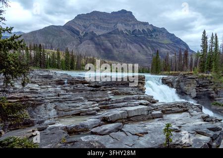 Mächtiger Wasserfall stürzt über geschichtete Felsen, umgeben von üppigem grünem Wald, Athabasca-Fälle, Jasper-Park, Alberta, Kanada Stockfoto