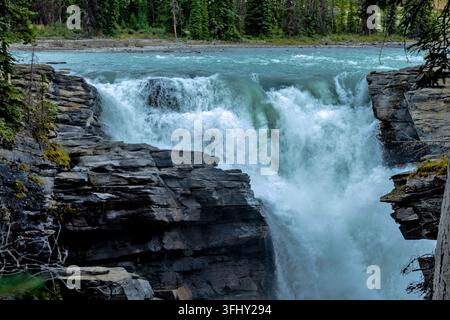 Mächtiger Wasserfall stürzt über geschichtete Felsen, umgeben von üppigem grünem Wald, Athabasca-Fälle, Jasper-Park, Alberta, Kanada Stockfoto