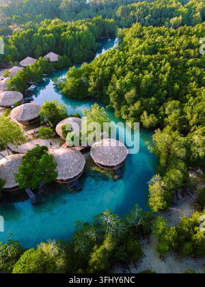 Ein atemberaubender Blick aus der Vogelperspektive fängt das üppige Grün und das ruhige blaue Wasser der Insel Koh Phayam Thailand ein, mit bezaubernden Bambusresorts Stockfoto