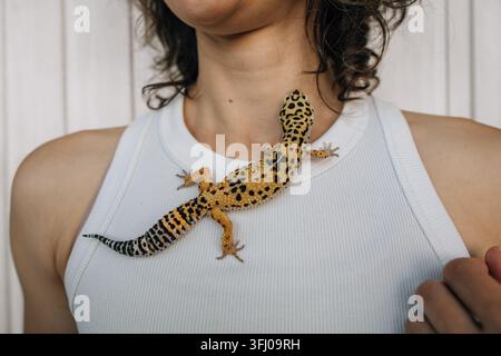 Eine Haustier-Leopardgecko-Echse, die auf der Brust einer Person ruht Stockfoto