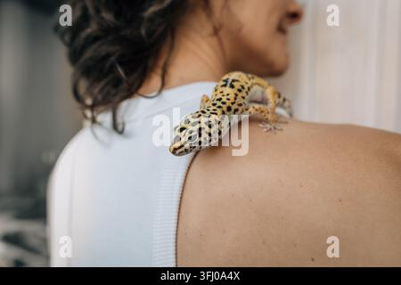 Eine Leoparden-Eidechse sitzt auf der Schulter einer Frau Stockfoto