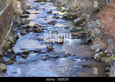 Klares Wasser stürzt um moosbewachsene Steine in einem kleinen Bach und fängt die Essenz einer ruhigen Waldumgebung ein, während es die natürliche Schönheit hervorhebt Stockfoto
