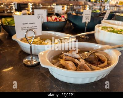 Appetitliche marinierte Fischfilets mit Beeren, präsentiert in einer kleinen Schüssel an einem Restaurantbuffet, das frische kulinarische Erlebnisse hervorruft, Catering-Krankenhaus Stockfoto