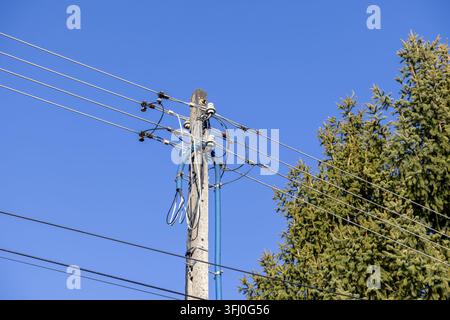 Ein Strommast zeigt Überhead-Leitungen und Schutzrohre und repräsentiert moderne Netzanbindung, Versorgungsunterhaltung und Industrie Stockfoto