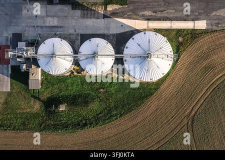 Luftaufnahme von drei großen weißen Getreidesilos, die neben einem bewirtschafteten Ackerfeld in der Uckermark, Brandenburg, Deutschland, stehen. Stockfoto