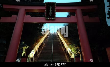 Ein auffälliges rotes Torii-Tor rahmt eine symmetrische Steintreppe, die nach oben zu einem traditionellen japanischen Tempelgebäude führt, mit dekorativen Laternen l Stockfoto