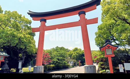 Ein auffälliges rotes Torii-Tor rahmen einen ruhigen Pfad, der mit grünen Bäumen gesäumt ist. Dieses ikonische japanische Architekturelement, das unter klarem Himmel eingefangen wurde mit Stockfoto