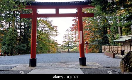 Ein auffälliges rotes Torii-Tor umrahmt einen ruhigen Waldweg während der Herbstsaison, mit lebhaftem Laub in Schattierungen von Grün und Bernstein, das durch das S sichtbar ist Stockfoto