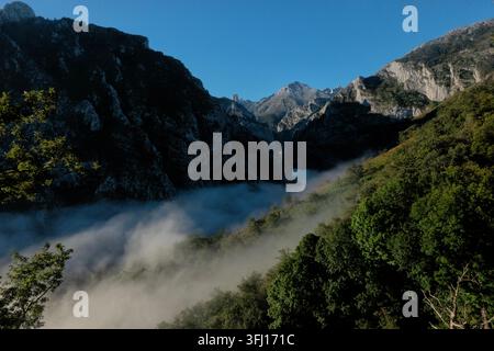 Pico Urriellu (Naranjo de Bulnes) und Nebel in der Cares-Schlucht, Nationalpark Picos de Europa, Poncebos, Asturien, Spanien Stockfoto