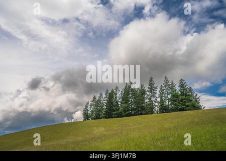 Bewölkter Himmel über einem Feld mit Bäumen auf einem Hügel in einer ländlichen Gegend Stockfoto