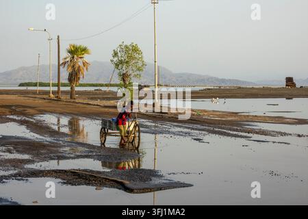 Ein Mann schiebt einen Holzwagen durch eine überflutete Küstenebene in der Nähe von Palmen und fernen Bergen, Nördliches Rotes Meer, Massawa, Eritrea Stockfoto