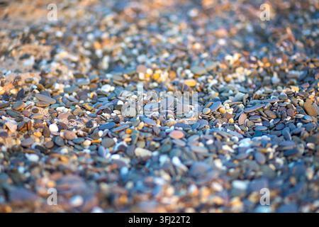 Nahaufnahme von nassen bunten Kieselsteinen am Strandufer Stockfoto