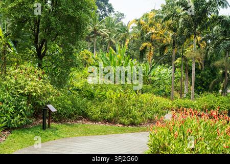 Prachtvolle Naturstrecke gesäumt von Palmen und lebendigen Helikonien im ikonischen botanischen Park von Singapur, der zum UNESCO-Weltkulturerbe gehört Stockfoto