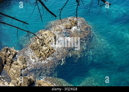 Luftbild zeigt nasse Felsen unter klarem türkisfarbenem Meerwasser, Sonnenlicht, das auf der Oberfläche glitzert, Wellen, sichtbare Seetang und Muscheln, mit Fels und Ufer Stockfoto