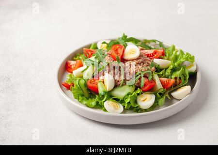 Teller mit Nicoise-Salat mit Thunfisch, gekochtem Ei und Gemüse. Stockfoto
