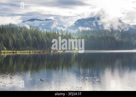 Misty Mountain Lake in den frühen heitere Morgen in den Bergen. Stockfoto