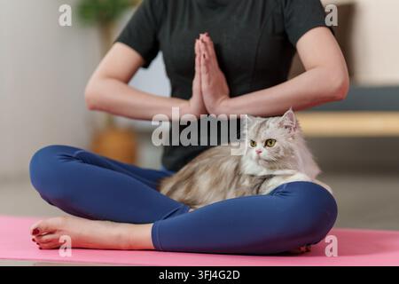 Abgeschnittene Frau in Gebetshaltung mit Katze auf Yogamatte zur Meditation sitzend Stockfoto
