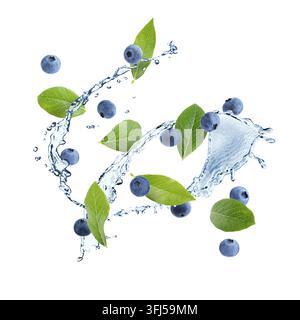 Frische Blaubeeren, grüne Blätter und Wasserspritzer in der Luft vor weißem Hintergrund Stockfoto