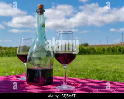 Flasche Rotwein und zwei Gläser auf einem Picknicktisch im Freien Stockfoto