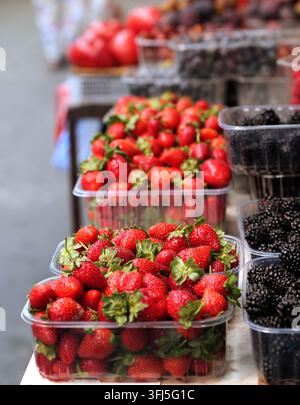 Erdbeeren und Brombeeren in Plastikbehältern zum Verkauf auf einem Obstmarkt im Freien, was gesunde Ernährung, Bio-Produkte und Su Stockfoto