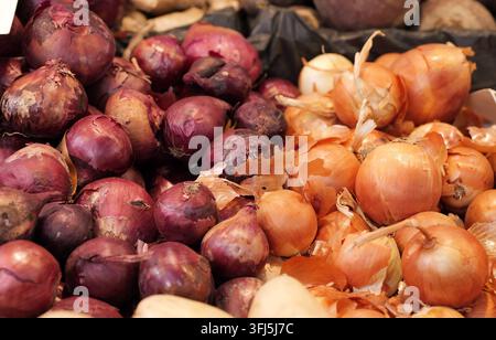 Haufen frischer biologischer roter und gelber Zwiebeln werden zum Verkauf angeboten und zeigen die natürliche Textur und die lebendigen Farben des gesunden Rohgemüses Stockfoto