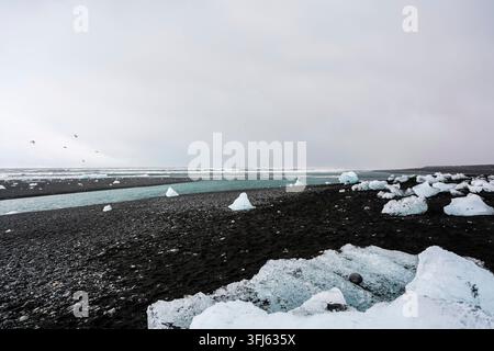 Eisberge aus dem breidamerkurjokull-Gletscher schmelzen am schwarzen Sandstrand der Gletscherlagune jokulsarlon in island Stockfoto