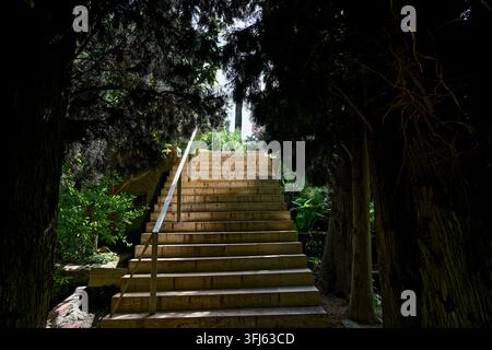 Steintreppe führt hinauf durch einen schattigen, überwucherten Waldweg, Jardin Nazari, Generalife Chico, Spanisch-Muslimischer Garten, Veleen de Benaudalla, Veleen Stockfoto