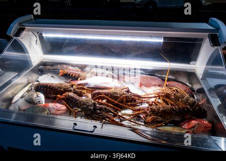 Capo d'Orlando, ME - IT - 6. Sep 2026: Frische Stachelaustern und verschiedene ganze Fische werden auf zerkleinertem Eis in einer gekühlten Fischtheke ausgestellt u Stockfoto