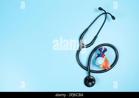 Ein anatomisches menschliches Herzmodell mit einem schwarzen medizinischen Stethoskop auf einem sauberen blauen Hintergrund. Perfekt für Kardiologie, Gesundheitswesen, Medizin und Herz-Kreislauf-Erkrankungen. Stockfoto