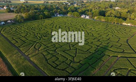 Luftaufnahme eines Maislabyrinths mit kunstvollen Wegen in einem üppigen grünen Maisfeld bei Sonnenuntergang im Spätsommer im ländlichen USA, Lititz, Pennsylvania. Stockfoto