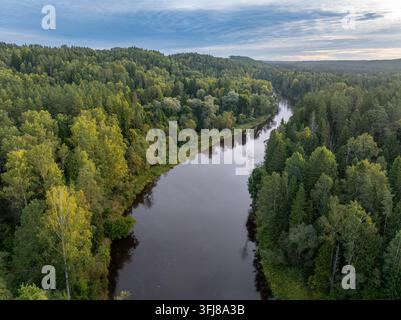 Luftaufnahme eines sich windenden Flusses, der durch einen dichten Wald in der Nähe von Ligatne, Lettland, fließt Stockfoto