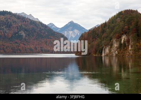 Ruhiger See Alpsee in der Nähe von Schloss Neuschwanstein mit buntem Herbstwald, der die Berghänge bedeckt und sich im ruhigen Wasser unter wolkigem Himmel spiegelt. Stockfoto