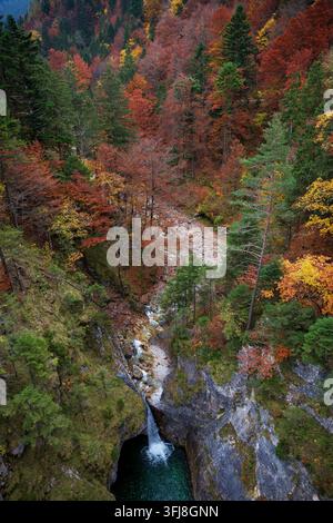 Bergwasserfall versteckt in einem dichten Herbstwald nahe dem Schloss Neuschwanstein, Bayern. Stockfoto