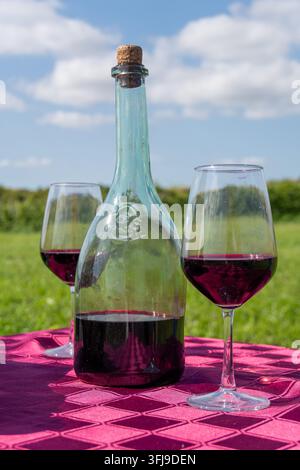 Rotweinflasche und Weingläser auf dem Tisch in der Weinberge vertikal Stockfoto